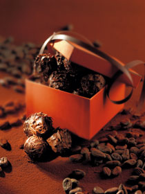 Bouchées Gourmandes - Chocolats Artisal