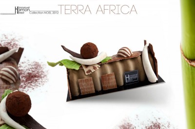 Emmanuel Hamon - Terra Africa