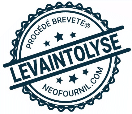 Logo Levaintolyse